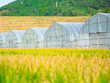 agri